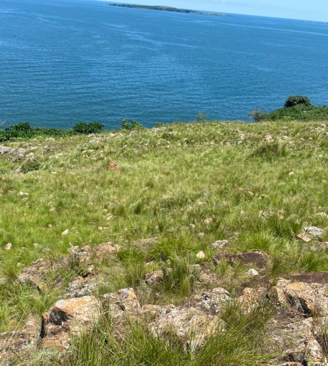 WhatsApp Image 2024-07-15 at 4.02.03 PM.jpeg